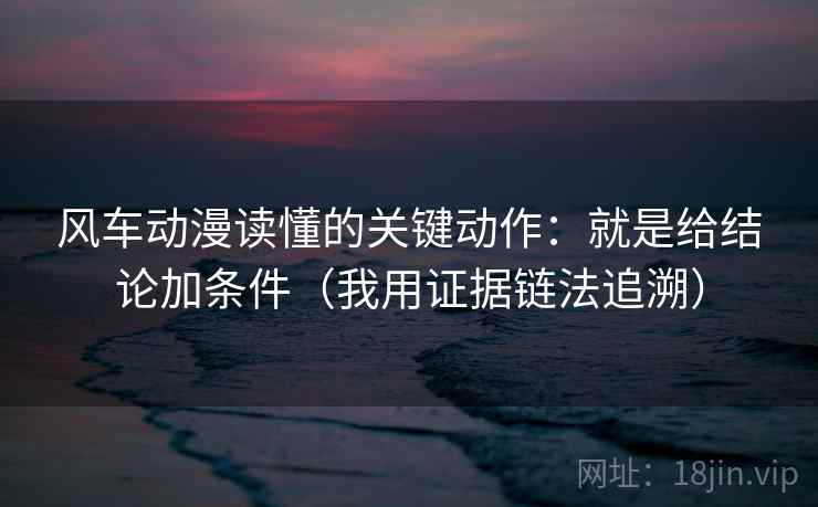 风车动漫读懂的关键动作：就是给结论加条件（我用证据链法追溯）